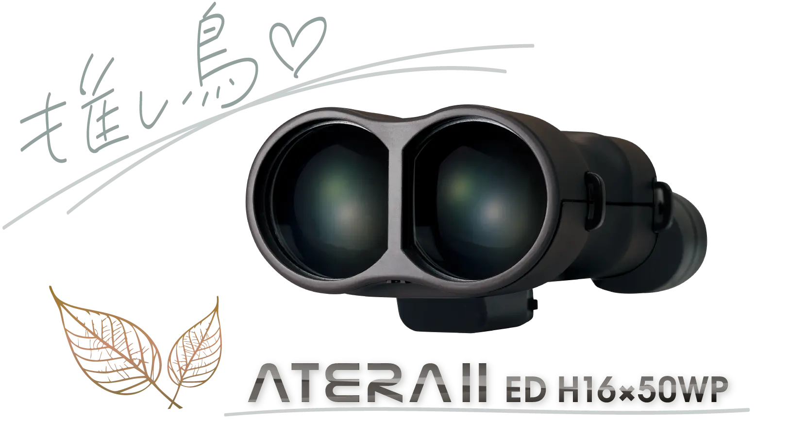推し鳥♡ アテラⅡ ED H16×50WP