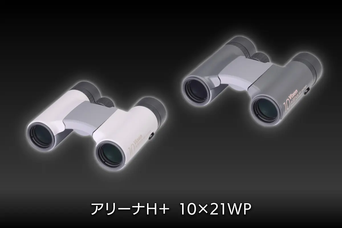 アリーナH+ 10×21WP