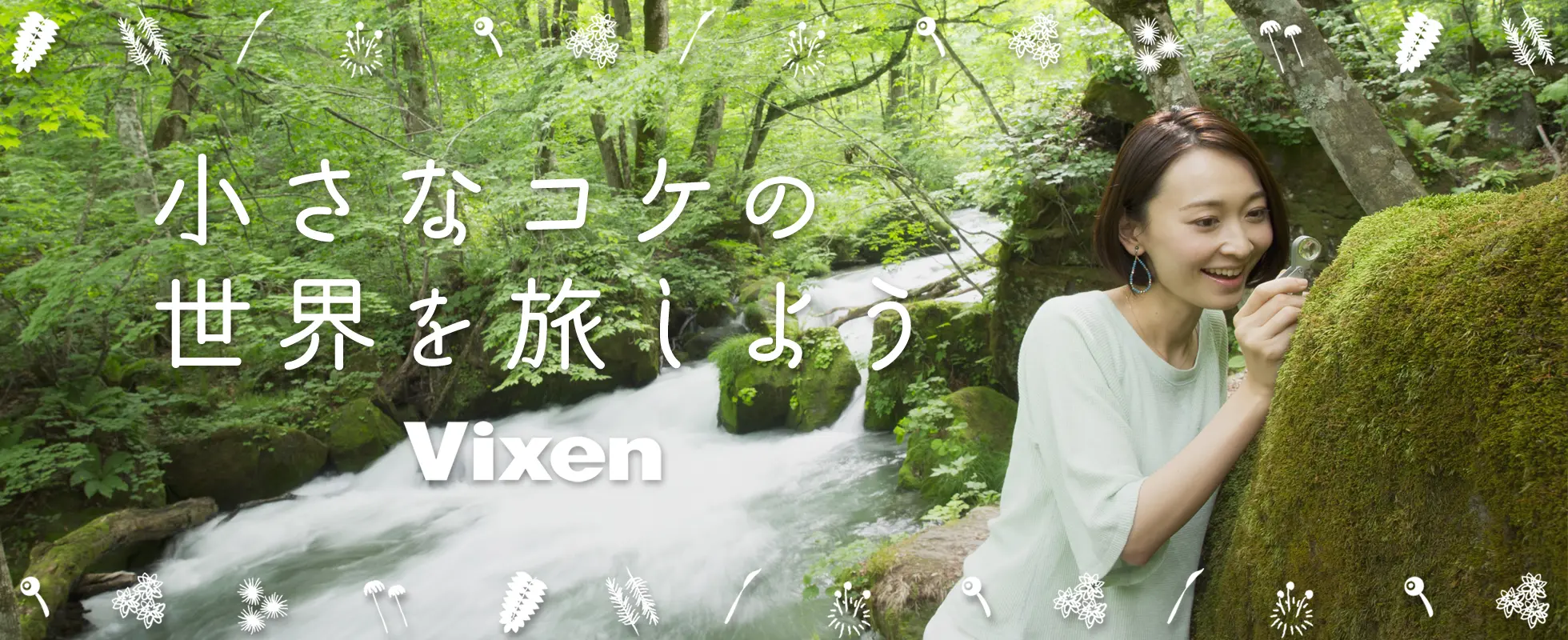 コケの世界