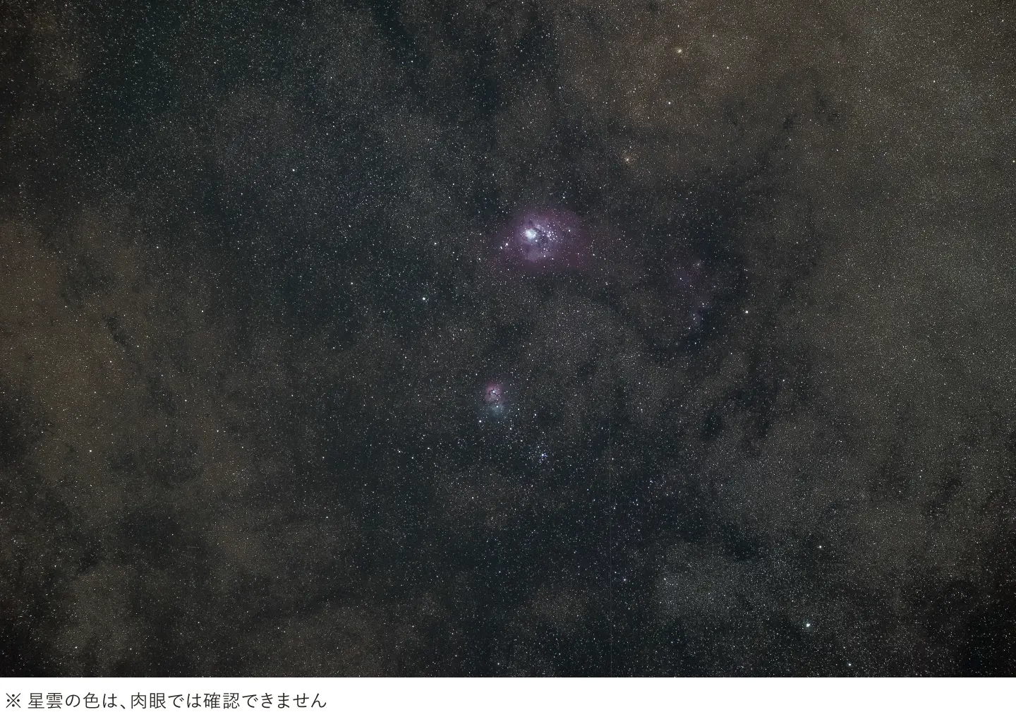 暗所に強い！手持ち最高レベル薄暮係数27.9