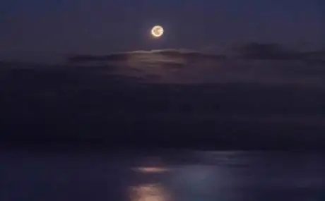 九十九里浜のリゾート施設NANJA MONJAにて開催されるイベント「月の出・ムーンロード＆夏の星空鑑賞ツアー」に協力