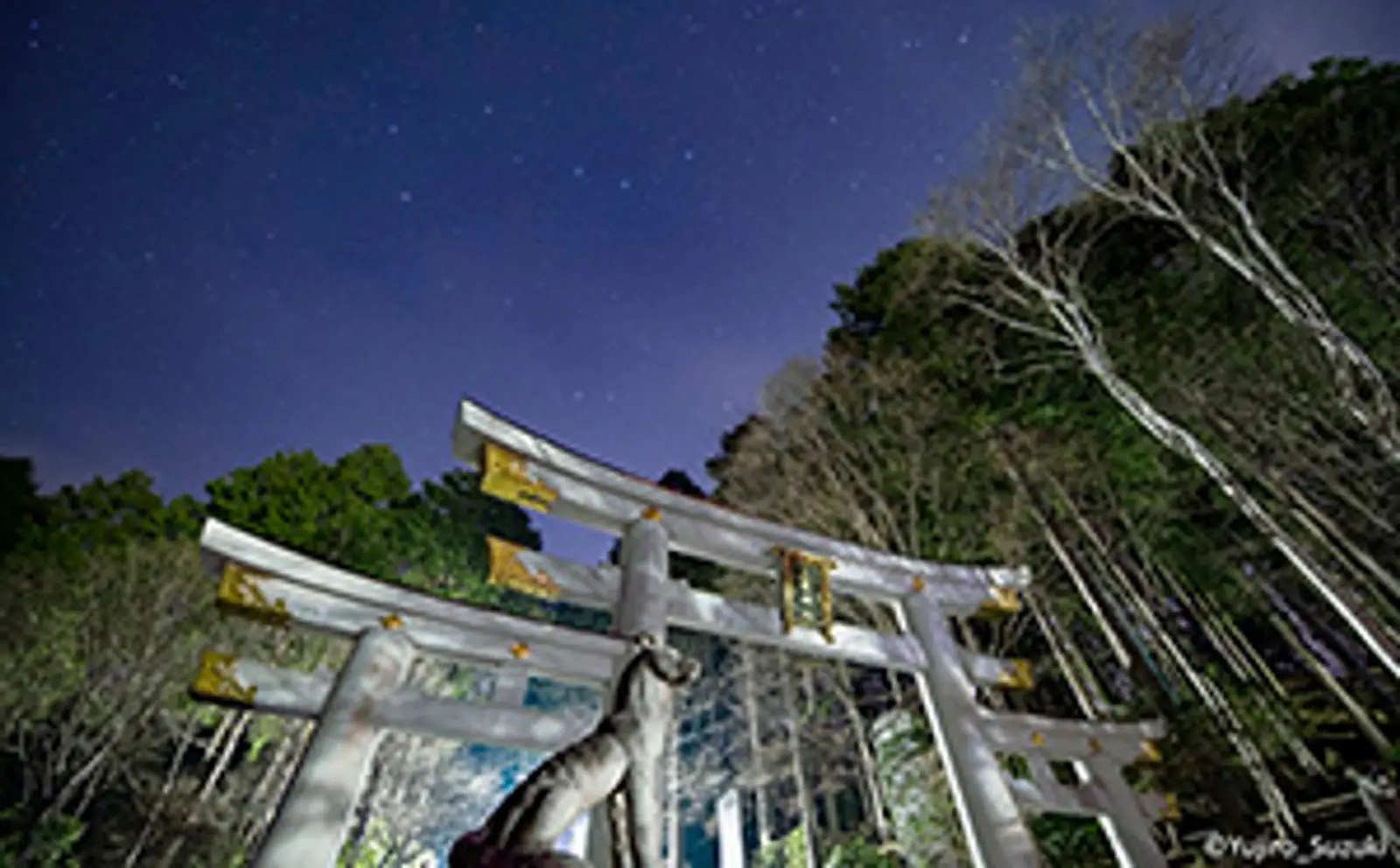 西武鉄道×西武トラベル×ビクセン 秩父・三峯神社で絶景の雲海＆星空鑑賞を目指す！「金よる発で行く 秩父絶景ツアー」に協力