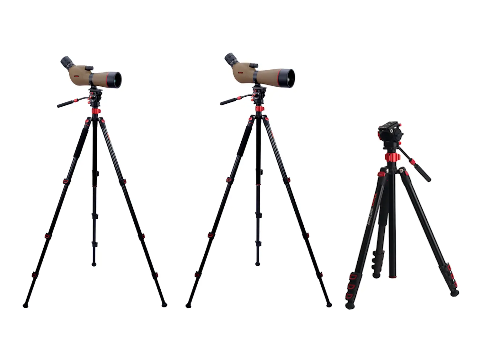 野鳥観察をさらに快適に フィールドスコープ「ジオマIII ED65 ZOOM M-174三脚セット」「ジオマIII ED80 ZOOM M-174三脚セット」を3月18日（水）に発売
