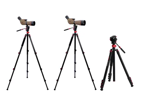野鳥観察をさらに快適に フィールドスコープ「ジオマIII ED65 ZOOM M-174三脚セット」「ジオマIII ED80 ZOOM M-174三脚セット」を3月18日（水）に発売